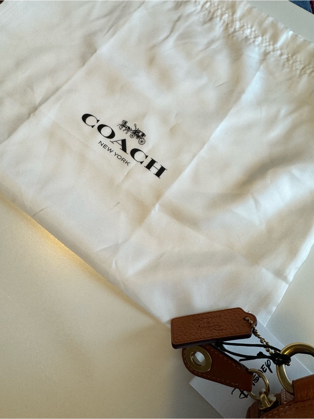 NWT Coach x Disney 100th Anniversary Mickey Mouse Caterpillar Flight Bag - Picture 9 of 13